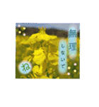ありがとうと会いたい気持ちと待ち合わせ（個別スタンプ：8）