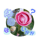 ありがとうと会いたい気持ちと待ち合わせ（個別スタンプ：11）