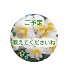 ありがとうと会いたい気持ちと待ち合わせ（個別スタンプ：14）