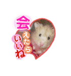 ありがとうと会いたい気持ちと待ち合わせ（個別スタンプ：15）