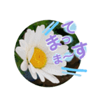 ありがとうと会いたい気持ちと待ち合わせ（個別スタンプ：20）