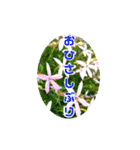 ありがとうと会いたい気持ちと待ち合わせ（個別スタンプ：21）