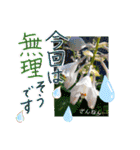 ありがとうと会いたい気持ちと待ち合わせ（個別スタンプ：22）
