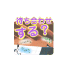 ありがとうと会いたい気持ちと待ち合わせ（個別スタンプ：24）