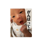一惺のstamp（個別スタンプ：14）