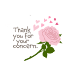 英語/『ありがとう』ピンクの薔薇（個別スタンプ：11）