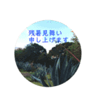 言の葉 〜花鳥風月〜季節の挨拶 敬語（個別スタンプ：11）