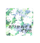 言の葉 〜花鳥風月〜季節の挨拶 敬語（個別スタンプ：12）