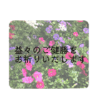 言の葉 〜花鳥風月〜季節の挨拶 敬語（個別スタンプ：13）