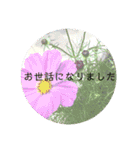 言の葉 〜花鳥風月〜季節の挨拶 敬語（個別スタンプ：15）