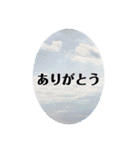 言の葉 〜空たまご〜カジュアル会話（個別スタンプ：40）