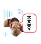ウェルシュテリア ♡ ジェリーさんの1日②（個別スタンプ：3）
