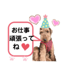 ウェルシュテリア ♡ ジェリーさんの1日②（個別スタンプ：14）