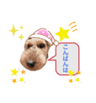 ウェルシュテリア ♡ ジェリーさんの1日②（個別スタンプ：19）