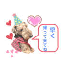 ウェルシュテリア ♡ ジェリーさんの1日②（個別スタンプ：20）