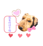 ウェルシュテリア ♡ ジェリーさんの1日②（個別スタンプ：22）