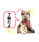 ウェルシュテリア ♡ ジェリーさんの1日②（個別スタンプ：24）