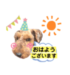 ウェルシュテリア ♡ ジェリーさんの1日②（個別スタンプ：26）