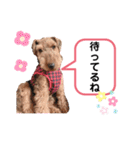 ウェルシュテリア ♡ ジェリーさんの1日②（個別スタンプ：27）