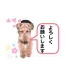 ウェルシュテリア ♡ ジェリーさんの1日②（個別スタンプ：29）