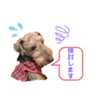 ウェルシュテリア ♡ ジェリーさんの1日②（個別スタンプ：31）