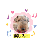 ウェルシュテリア ♡ ジェリーさんの1日②（個別スタンプ：32）