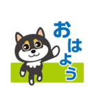 黒柴チャッピー（個別スタンプ：1）