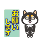 黒柴チャッピー（個別スタンプ：12）