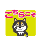 黒柴チャッピー（個別スタンプ：25）