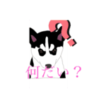 ハスキーチョビ（個別スタンプ：3）
