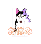 ハスキーチョビ（個別スタンプ：8）