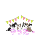 ハスキーチョビ（個別スタンプ：9）