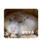 だーいーふーくー（個別スタンプ：1）