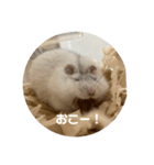 だーいーふーくー（個別スタンプ：4）