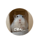 だーいーふーくー（個別スタンプ：6）