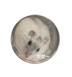 だーいーふーくー（個別スタンプ：12）