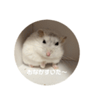だーいーふーくー（個別スタンプ：14）