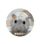 だーいーふーくー（個別スタンプ：19）