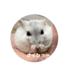 だーいーふーくー（個別スタンプ：25）