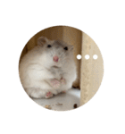 だーいーふーくー（個別スタンプ：28）