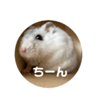 だーいーふーくー（個別スタンプ：29）