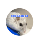 だーいーふーくー（個別スタンプ：32）