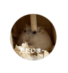 だーいーふーくー（個別スタンプ：33）