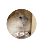 だーいーふーくー（個別スタンプ：36）