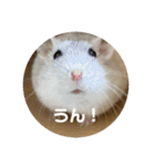 だーいーふーくー（個別スタンプ：38）