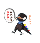 恐竜たちの挨拶⑥（個別スタンプ：4）