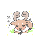 奈良の鹿さん3（個別スタンプ：31）