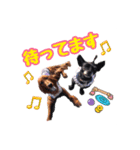 カニスの愉快な仲間たち（個別スタンプ：1）