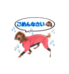 カニスの愉快な仲間たち（個別スタンプ：5）