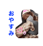cocoa_ram（個別スタンプ：2）